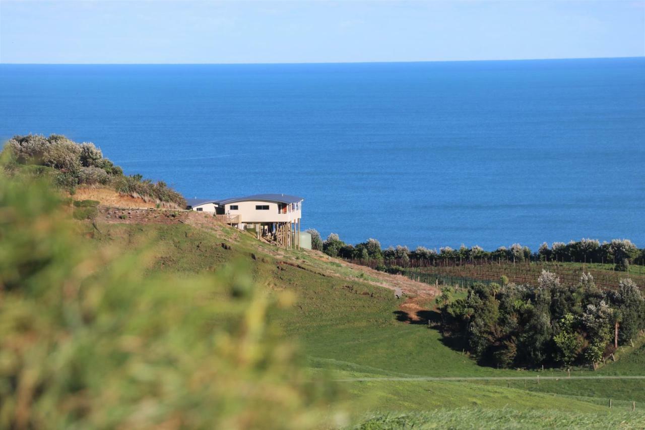 דירות ניו פלימות' Chalets At Okurukuru מראה חיצוני תמונה